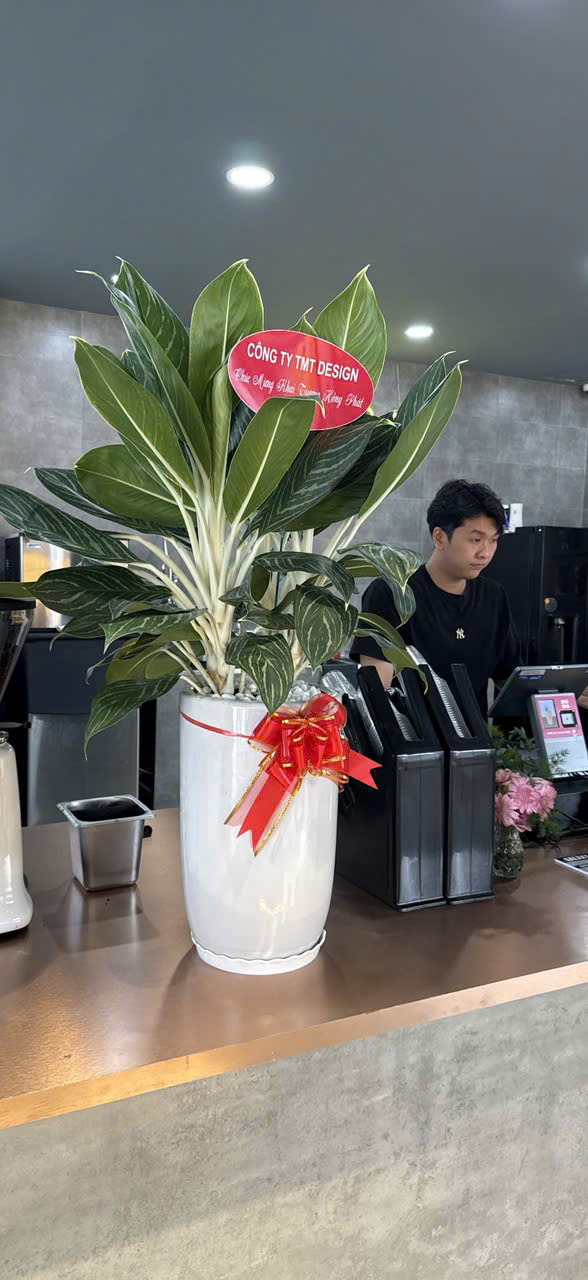 thiết-kế-khu-vui-chơi-Long-an-2